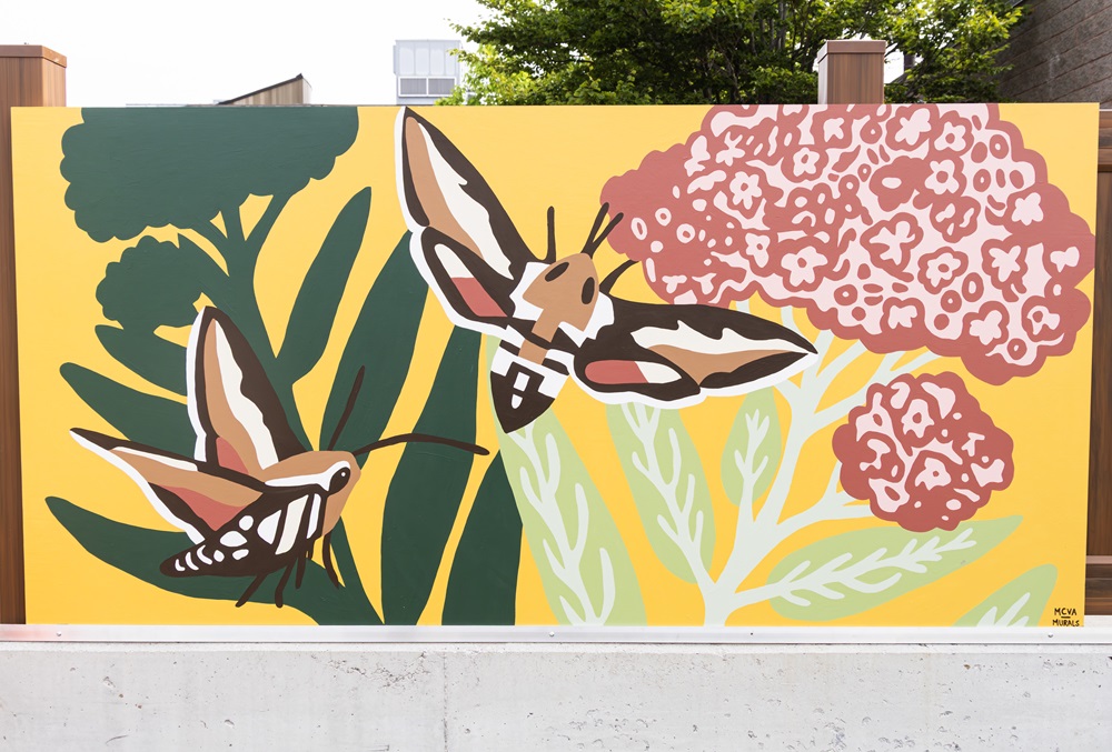 Bedstraw Hawk Moth and Milkweed Mural 