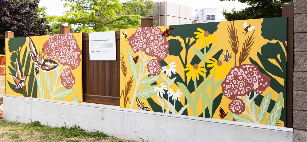Bedstraw Hawk Moth and Milkweed Mural