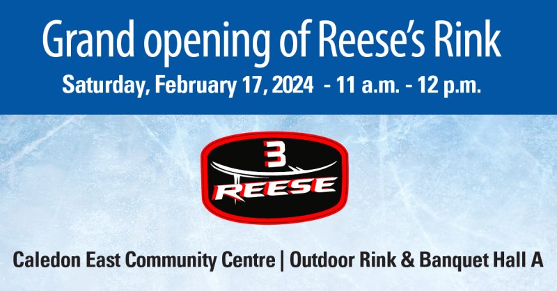 Reese's Rink at the CECC