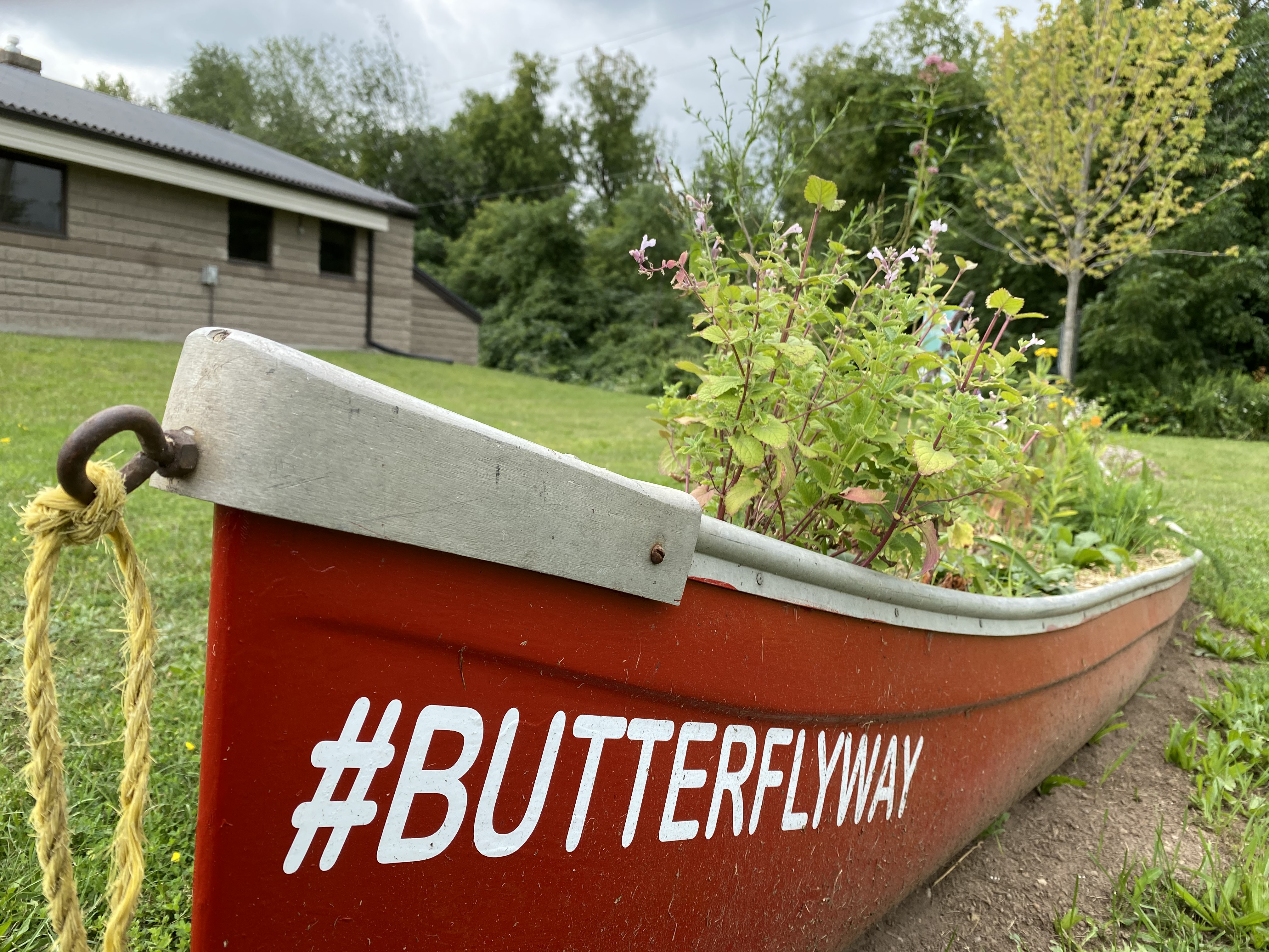 canoe pollinator garden