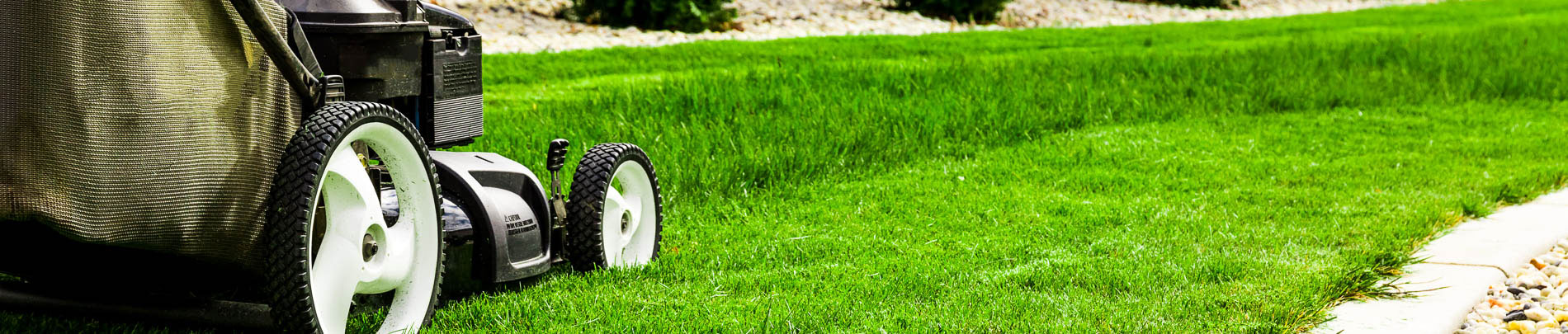 Mowing the grass