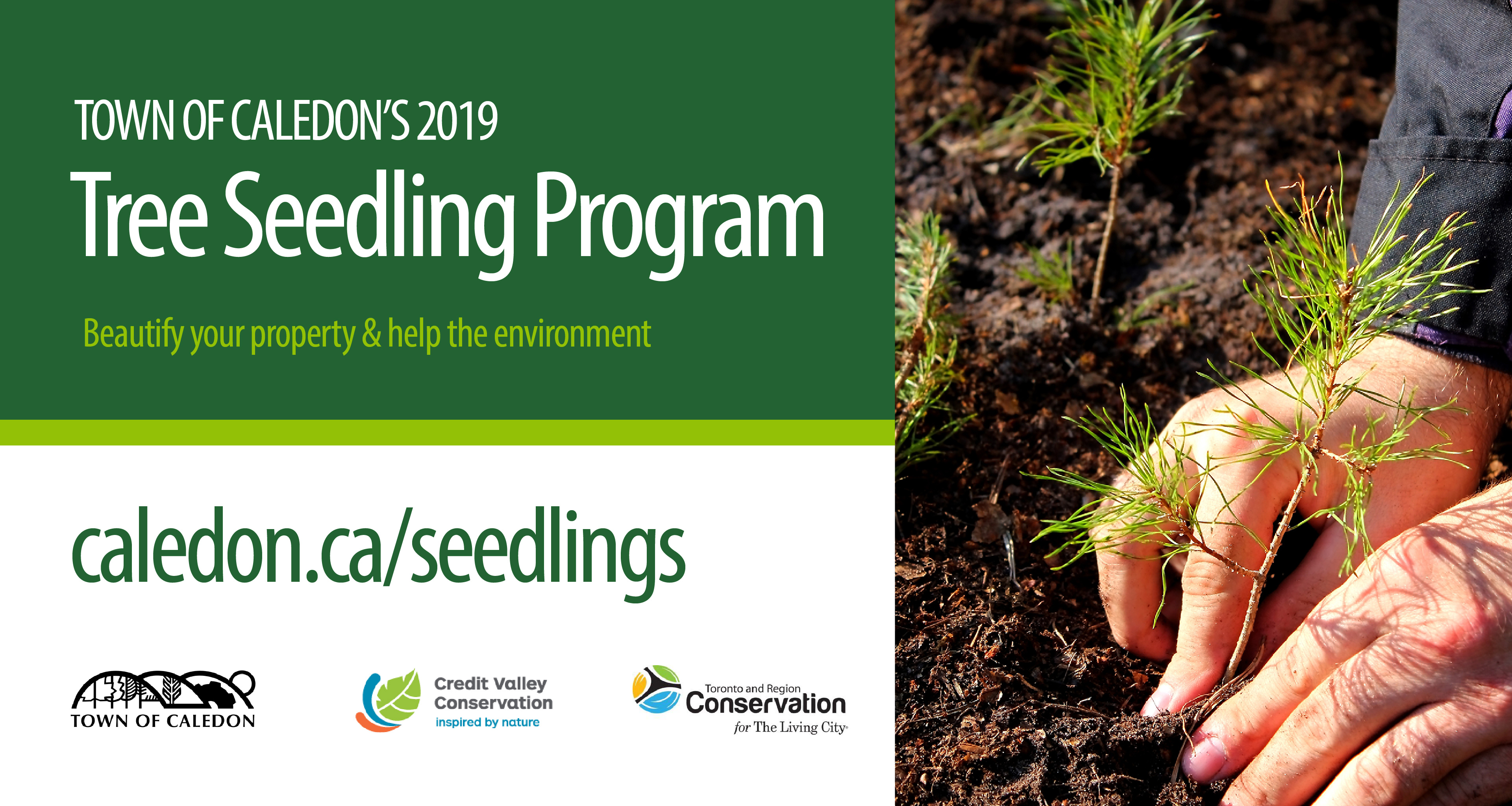 2019 Tree Seedling Program