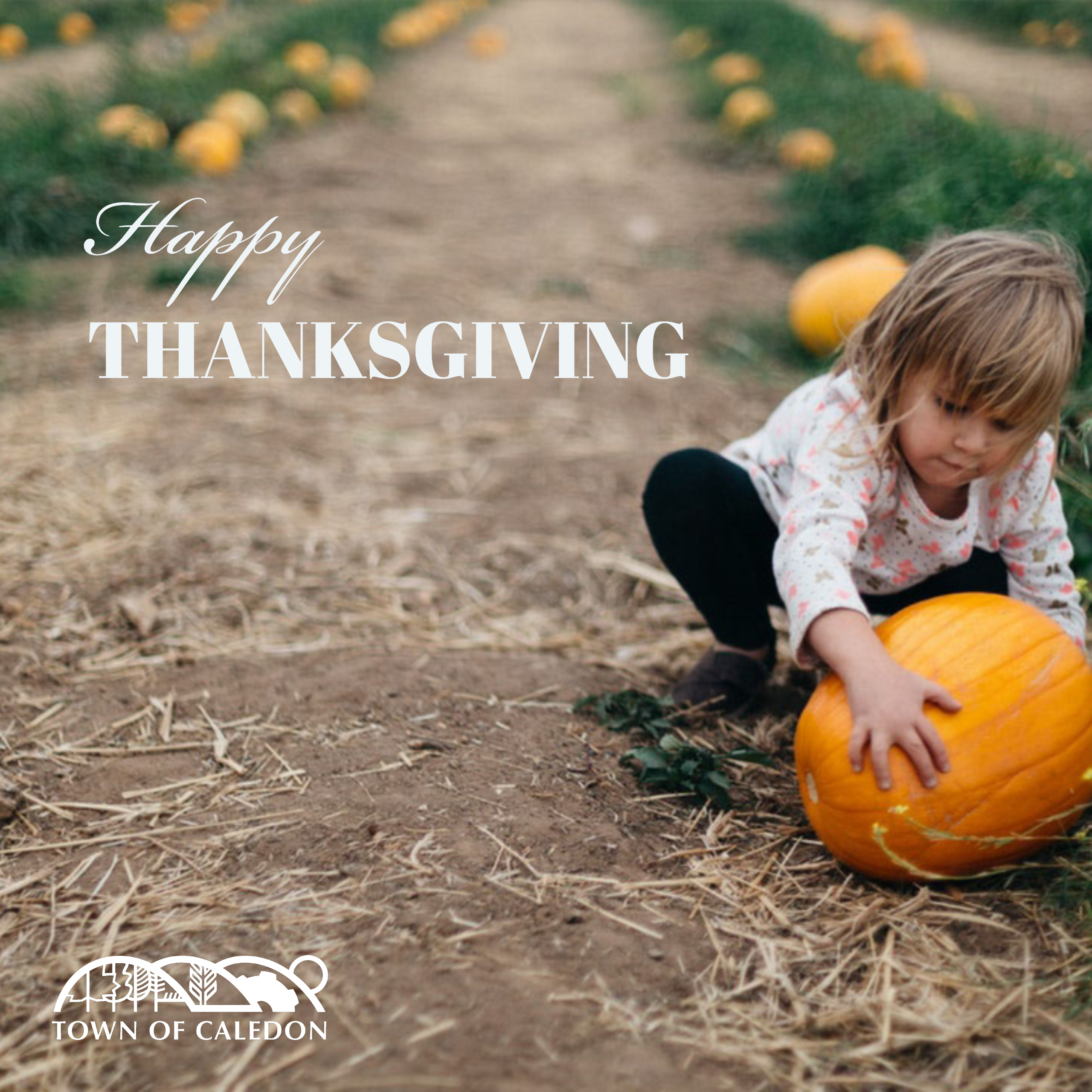 child with pumpkin