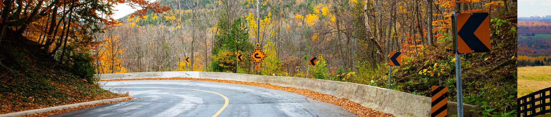 Curved Road